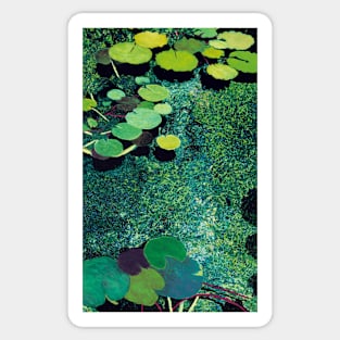 Green Shimmering Pond Sticker